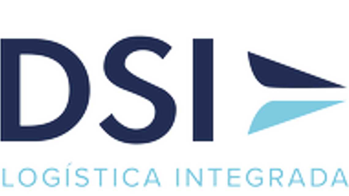 DSI 2010 cover image